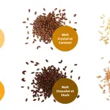 Six tas de grains : Pilsen, Crystal, D'avoine, Munich, Chocolat et blé. Chaque tas est accompagné d'une bulle descriptive, offrant un aperçu des différentes options de malt.
