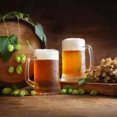 Deux chopes de bière mousseuse, du houblon frais et des épis de blé près d'un tonneau en bois. La carbonatation de la bière est parfaite.