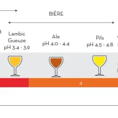 Échelle de pH montrant des boissons, dont la bière acide (Lambic, Gueuze, Ale, Pils) et le vin.