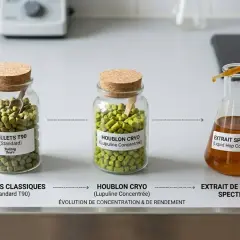 Le houblon Comet évolue : des pellets classiques aux pellets cryo concentrés, puis en extrait liquide.