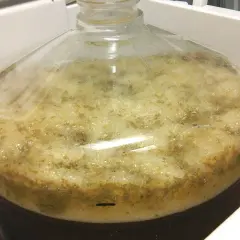Bière en pleine fermentation active dans une bonbonne. La mousse épaisse et les bulles témoignent de la durée fermentation bière.