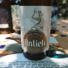 Une blonde française, la bière Antiek, sur une table ensoleillée.