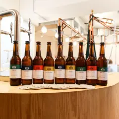 Huit bouteilles de bière artisanale alignées, chacune avec une étiquette colorée indiquant son nom et le degré alcool. Un tireuse à bière est visible à gauche.