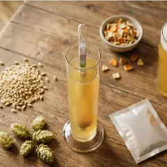 Ingrédients pour une bière sans orge : houblon, malt, levure et écorces d'orange. Un verre de bière dorée et un densimètre complètent la scène.