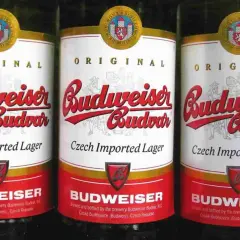 Trois bouteilles de bière Budweiser Budvar, bière tchèque importée, avec leur étiquette rouge et blanche originale.