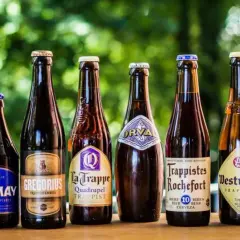 Une sélection de 7 bières trappistes belges alignées : Achel, Chimay, Gregorius, La Trappe, Orval, Rochefort, Westmalle.