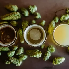 Trois verres de bière, entourés de houblon frais, prêts pour une fete de la biere.