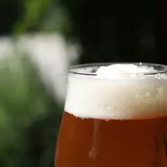 Verre de bière american amber ale, mousse abondante et dorée, avec un fond flou de verdure.