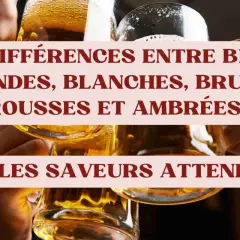 Des verres de bière aux différentes nuances de couleur bière, blonds, blancs, bruns, roux et ambrés.