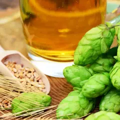 Verre de bière dorée près de cônes de houblon frais, de blé et d'une cuillère en bois remplie de grains. La plante de houblon est essentielle à la bière.
