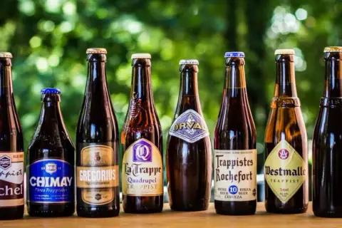 Une sélection de 7 bières trappistes belges alignées : Achel, Chimay, Gregorius, La Trappe, Orval, Rochefort, Westmalle.