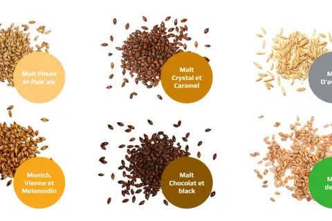 Six tas de grains : Pilsen, Crystal, D'avoine, Munich, Chocolat et blé. Chaque tas est accompagné d'une bulle descriptive, offrant un aperçu des différentes options de malt.