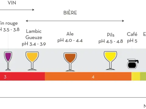 Bicarbonate et brassage - Maîtrisez le pH de votre bière