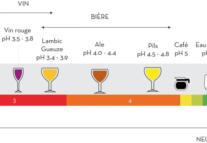 Échelle de pH montrant des boissons, dont la bière acide (Lambic, Gueuze, Ale, Pils) et le vin.