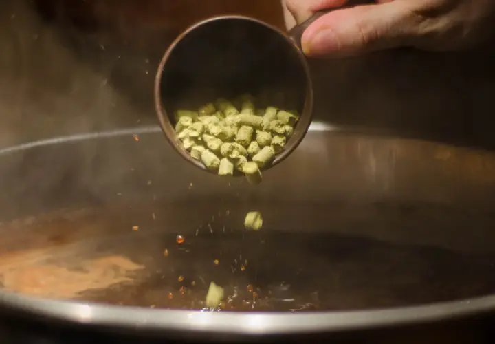 Ajout de houblon dans un liquide bouillant pour une recette bitter. Des granulés verts tombent d'une tasse dans la vapeur.