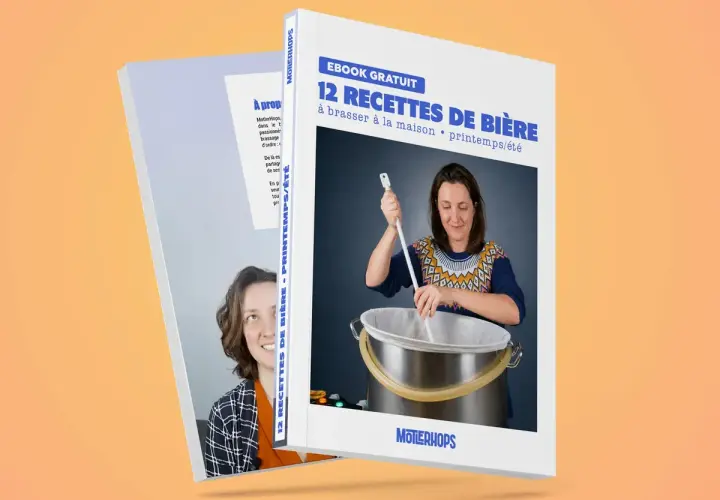 Ebook gratuit "12 Recettes de Bière" pour brasser à la maison, explorant les différents sucres pour des bières de printemps/été.