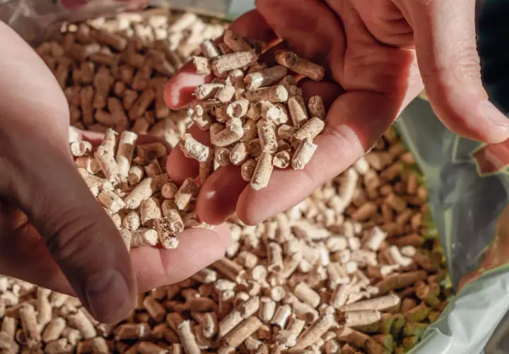 Mains tenant des granulés de bois, une solution de conservation écologique.