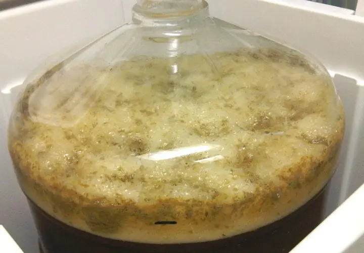Bière en pleine fermentation active dans une bonbonne. La mousse épaisse et les bulles témoignent de la durée fermentation bière.