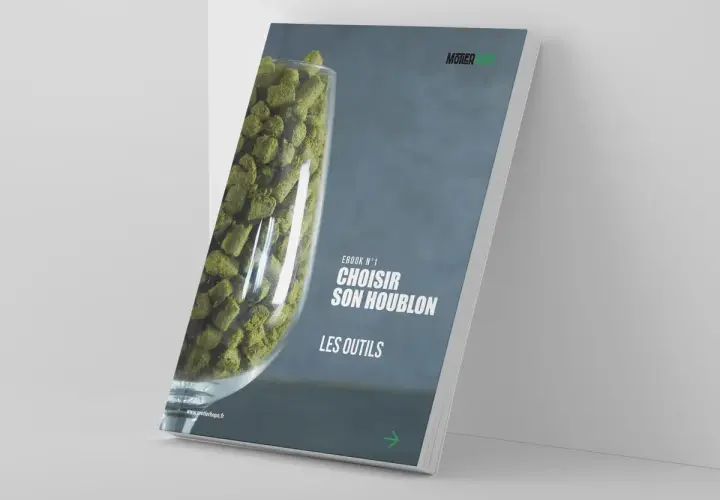 Ebook "Choisir son houblon" : un guide pour les amateurs de bière. Le houblon, ingrédient clé de la bière, est présenté dans un verre.