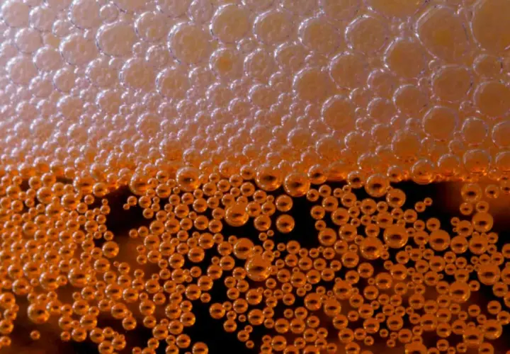 Bulles d'ibu beer, d'un orange doré, formant une mousse dense et pétillante.