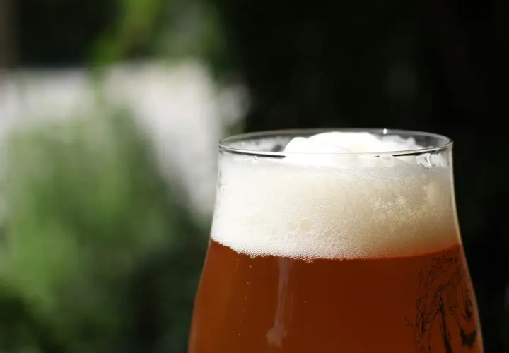 Verre de bière american amber ale, mousse abondante et dorée, avec un fond flou de verdure.