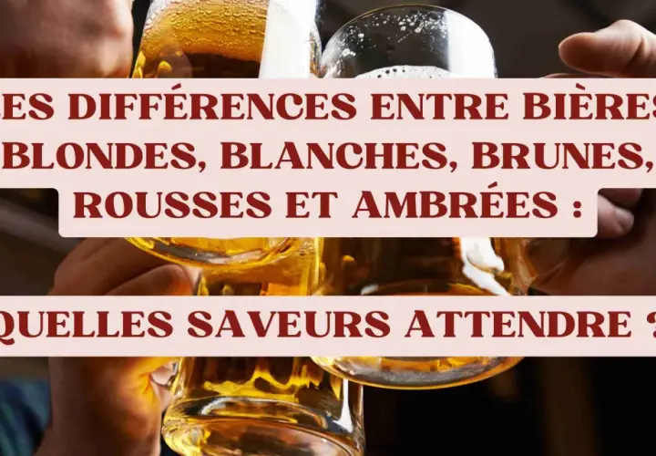 Des verres de bière aux différentes nuances de couleur bière, blonds, blancs, bruns, roux et ambrés.