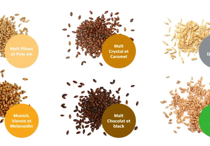 Six tas de grains : Pilsen, Crystal, D'avoine, Munich, Chocolat et blé. Chaque tas est accompagné d'une bulle descriptive, offrant un aperçu des différentes options de malt.