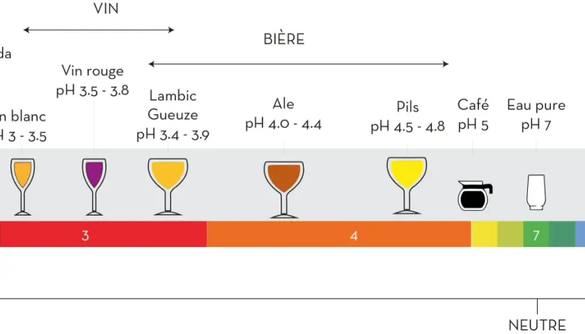 Échelle de pH montrant des boissons, dont la bière acide (Lambic, Gueuze, Ale, Pils) et le vin.