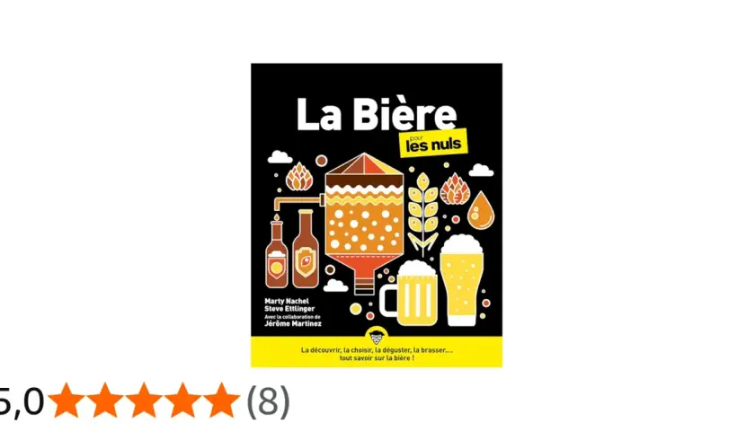Illustration colorée d'une brasserie et de bières, avec des épis de **bière plante**. Le titre "La Bière pour les nuls" est bien visible.