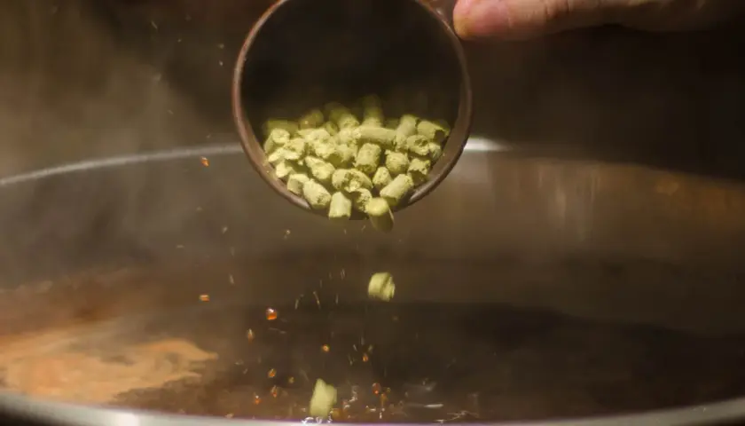 Ajout de houblon dans un liquide bouillant pour une recette bitter. Des granulés verts tombent d'une tasse dans la vapeur.