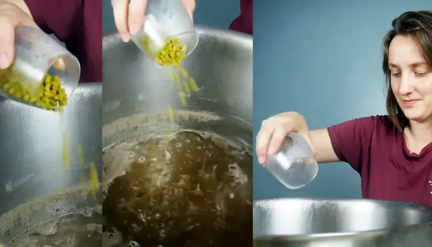 Préparation d'une recette NEIPA : ajout de houblon dans une marmite bouillonnante.