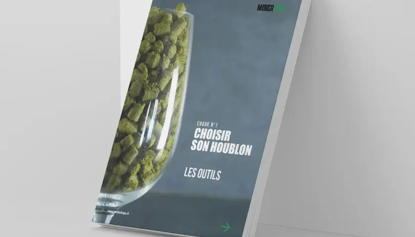 Ebook "Choisir son houblon" : un guide pour les amateurs de bière. Le houblon, ingrédient clé de la bière, est présenté dans un verre.