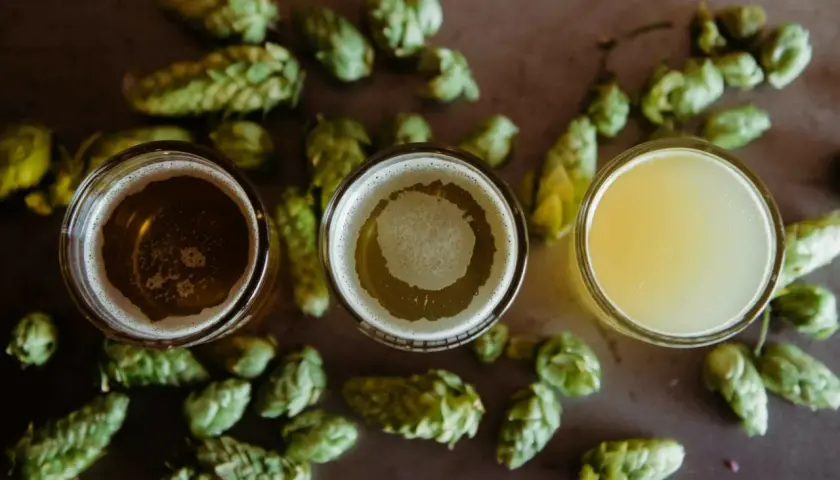 Trois verres de bière, entourés de houblon frais, prêts pour une fete de la biere.