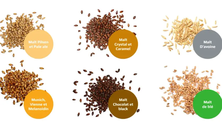 Six tas de grains : Pilsen, Crystal, D'avoine, Munich, Chocolat et blé. Chaque tas est accompagné d'une bulle descriptive, offrant un aperçu des différentes options de malt.