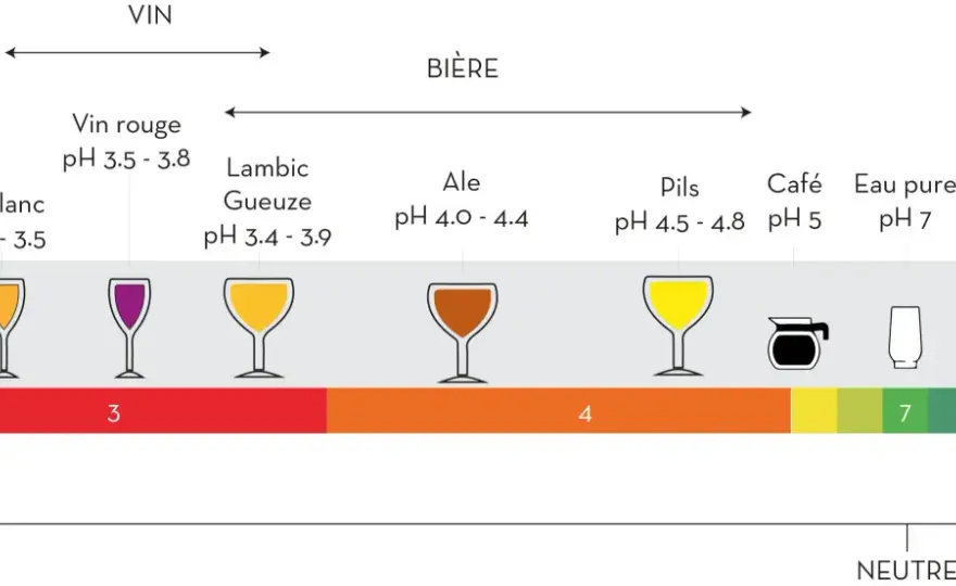Bière acide - Le guide complet pour bien la choisir et la déguster