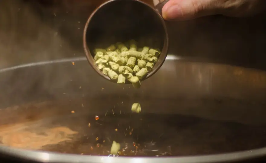 Brasser une Bitter Anglaise - Guide Complet & Recette 20L
