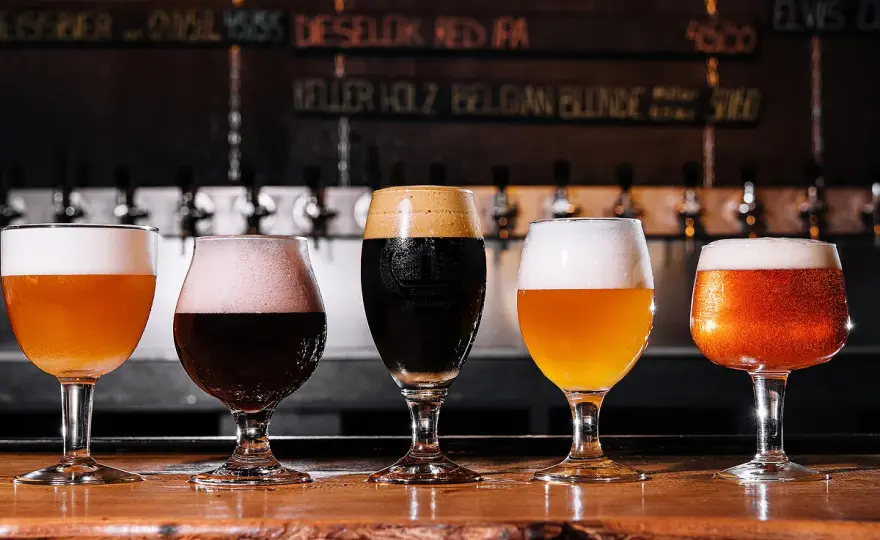 IPA vs autres bières - Comprenez les vraies différences