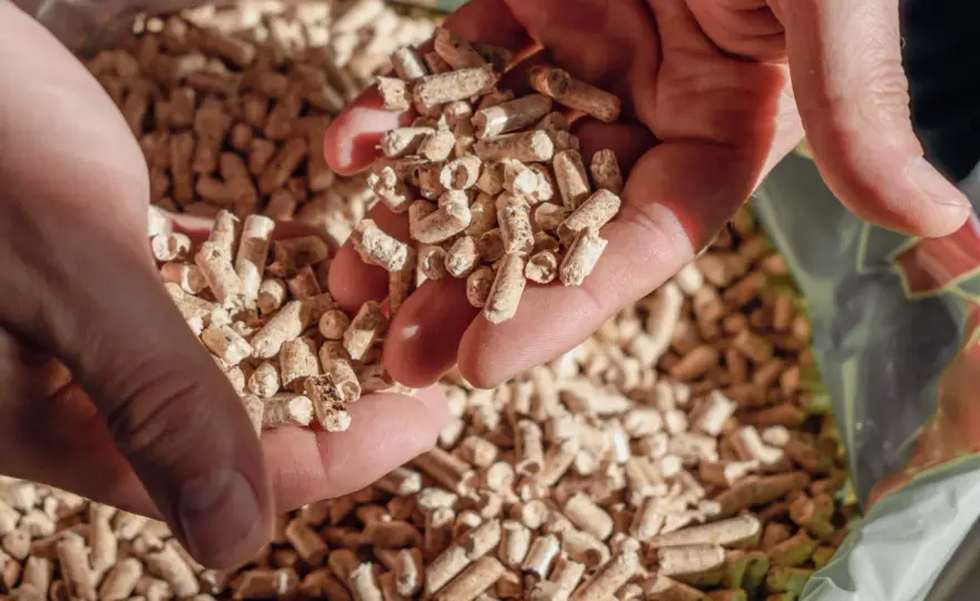 Conservation pellets de houblon - Évitez ces erreurs courantes !
