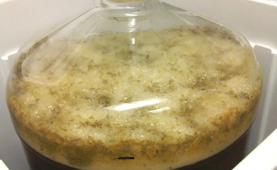 Fermentation bière - Durée optimale et signes de fin