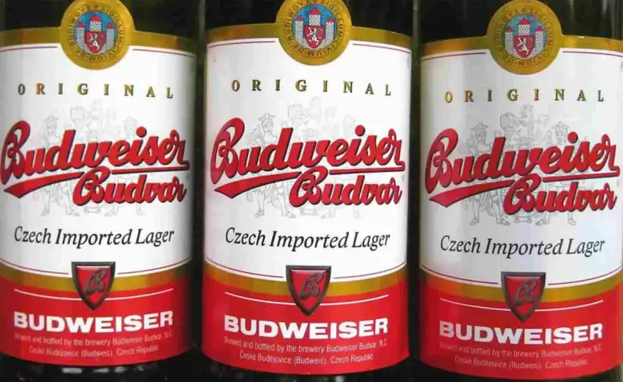 Budweiser - Une seule bière, deux histoires ? Découvrez la vérité