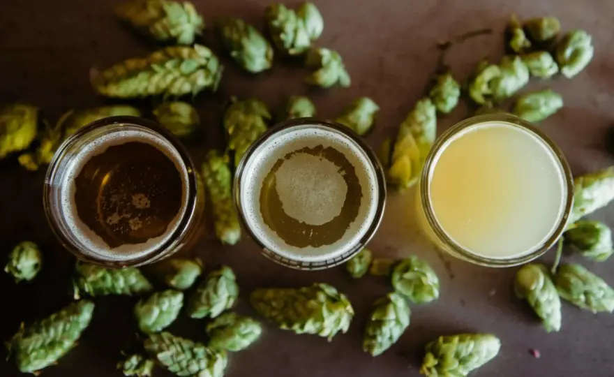 Fête de la bière - Guide pour bien choisir et déguster
