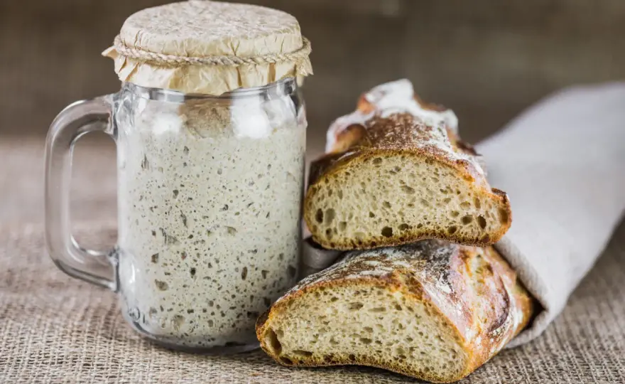 Bière au levain - Maîtrisez le brassage naturel