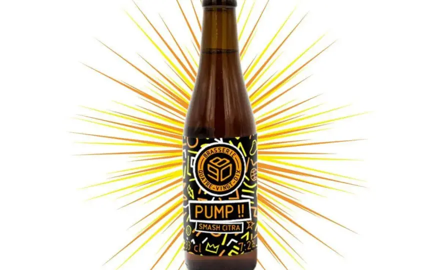 Citra Hop - Maîtrisez-le pour des bières fruitées et modernes
