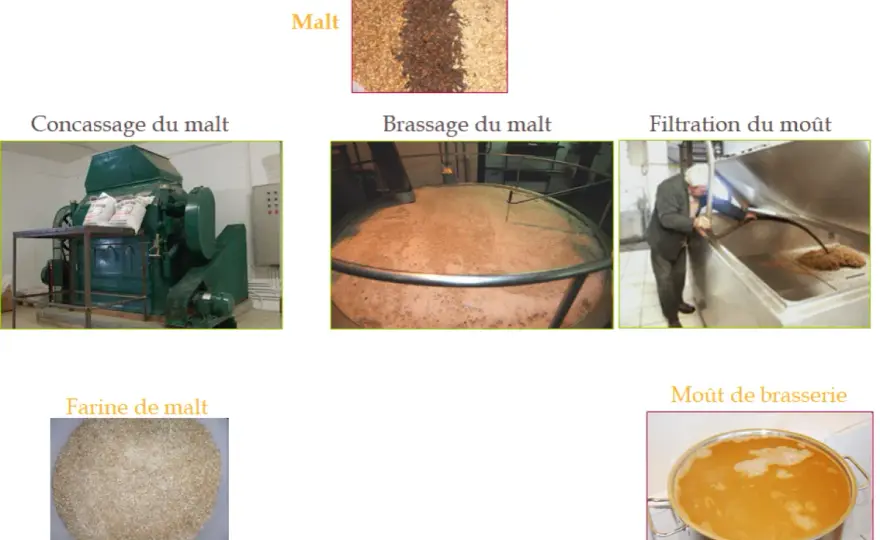 Malt frais - Vraiment utile en brassage et boulangerie ?
