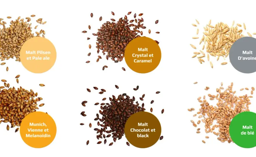 Alternatives au malt d'orge - Guide pour brasseurs avisés