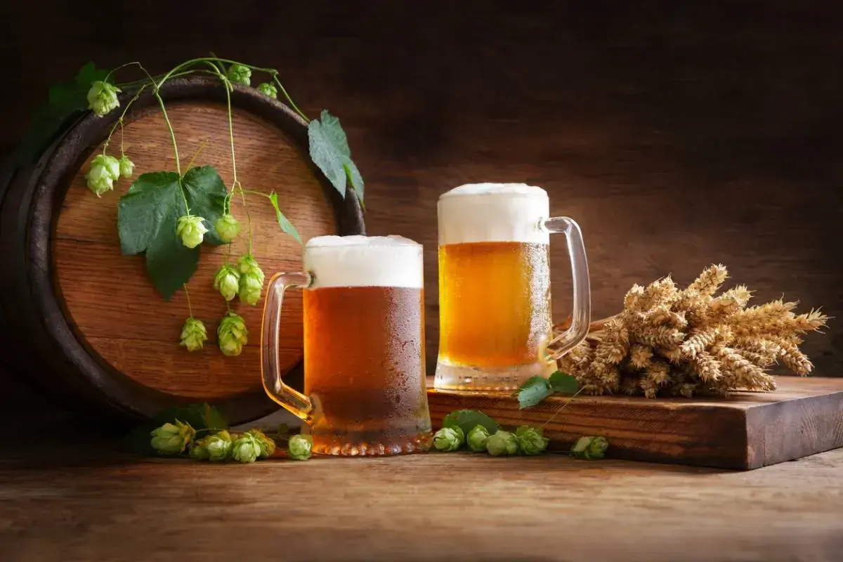 Deux chopes de bière mousseuse, du houblon frais et des épis de blé près d'un tonneau en bois. La carbonatation de la bière est parfaite.
