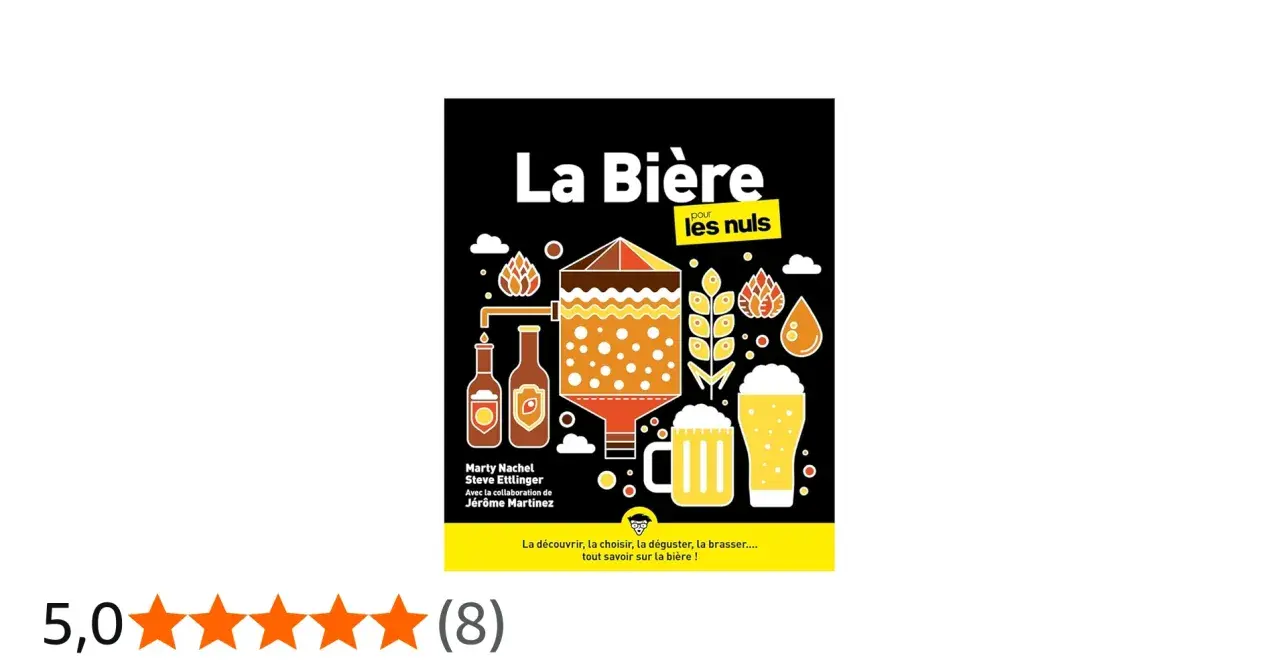 Illustration colorée d'une brasserie et de bières, avec des épis de **bière plante**. Le titre "La Bière pour les nuls" est bien visible.