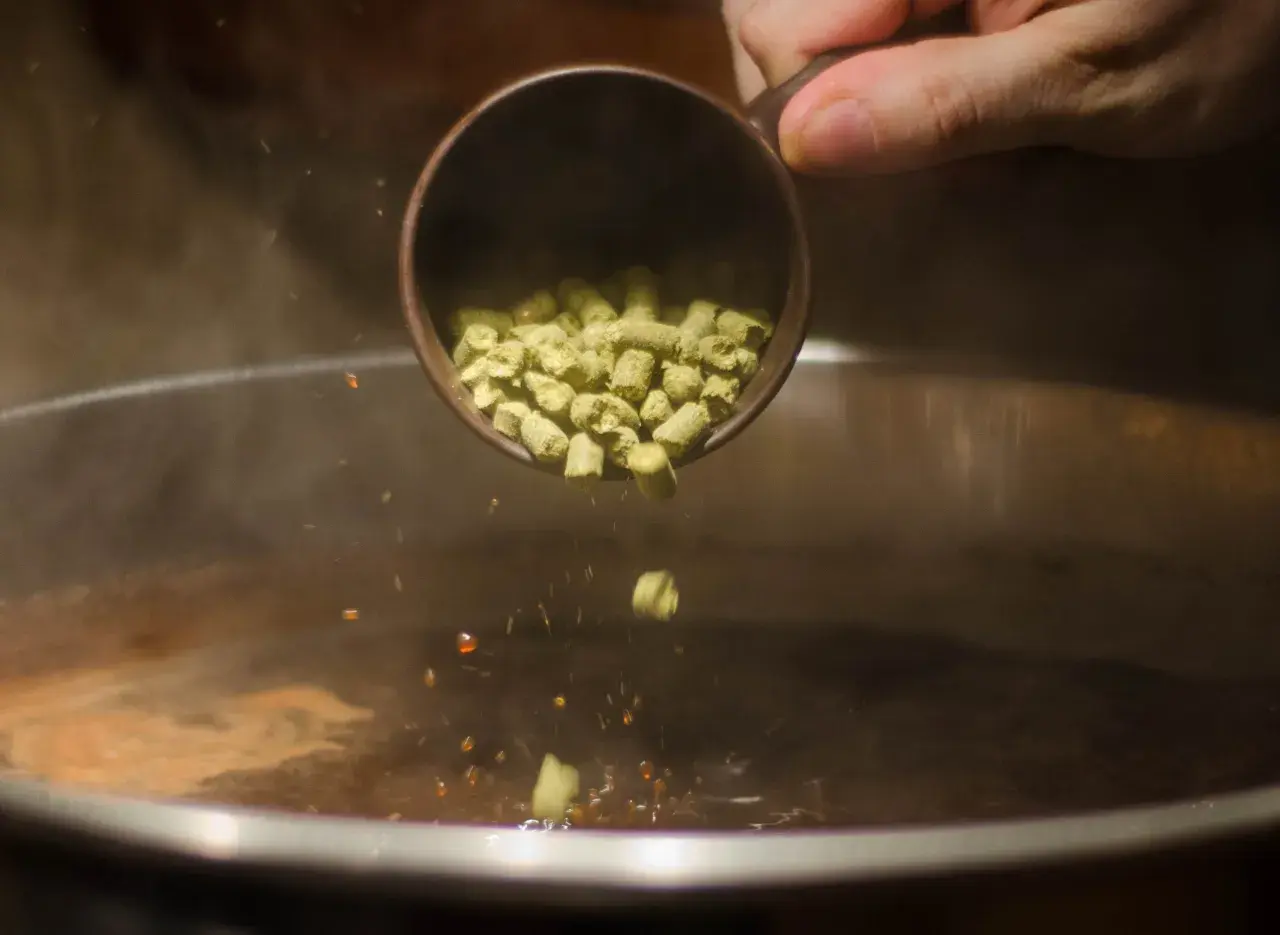 Ajout de houblon dans un liquide bouillant pour une recette bitter. Des granulés verts tombent d'une tasse dans la vapeur.