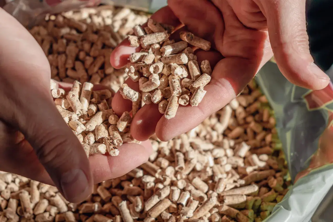 Mains tenant des granulés de bois, une solution de conservation écologique.