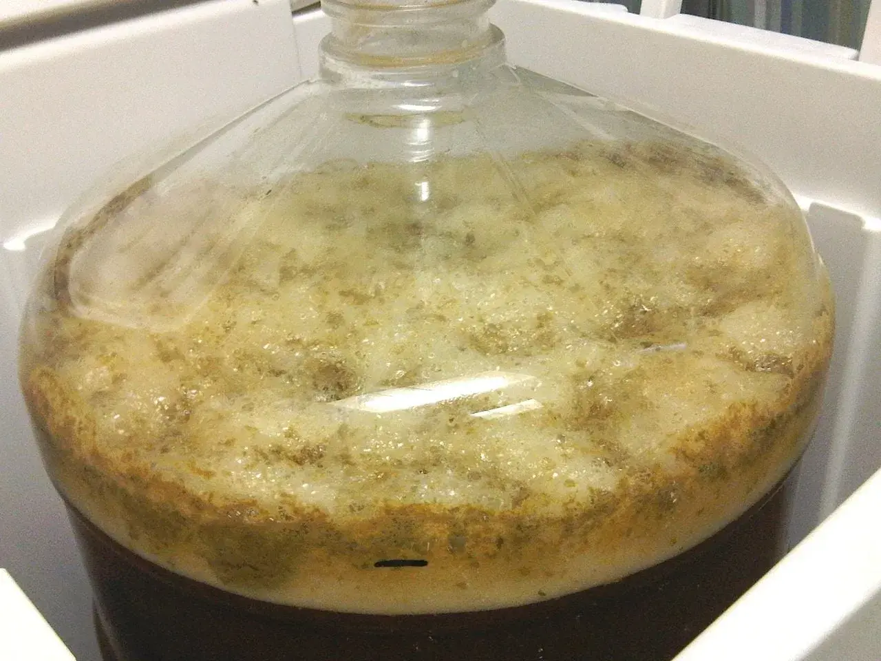 Bière en pleine fermentation active dans une bonbonne. La mousse épaisse et les bulles témoignent de la durée fermentation bière.